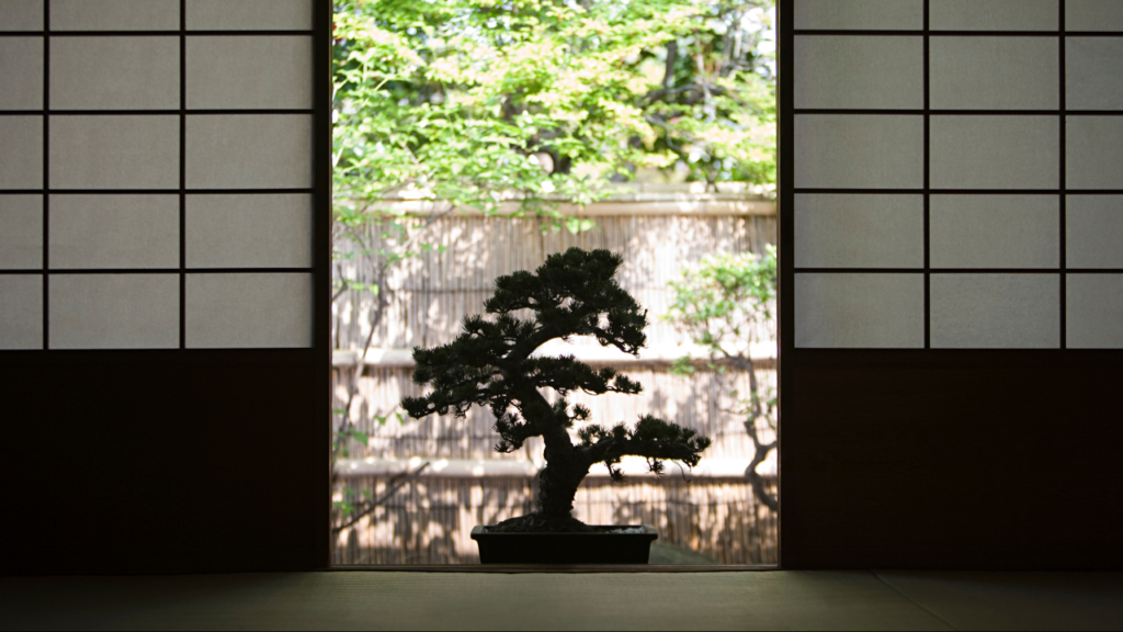 Bonsai Position