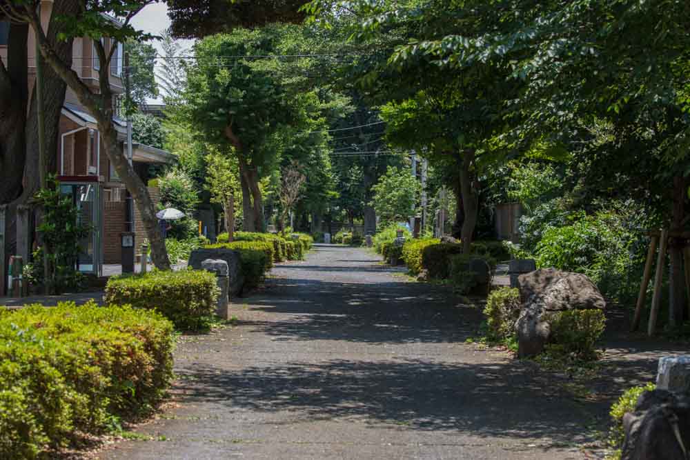 Omiya Bonsai Village