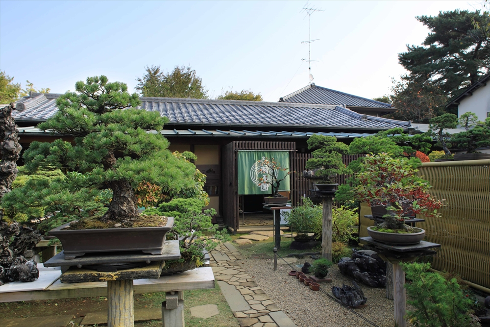 Omiya Bonsai Village