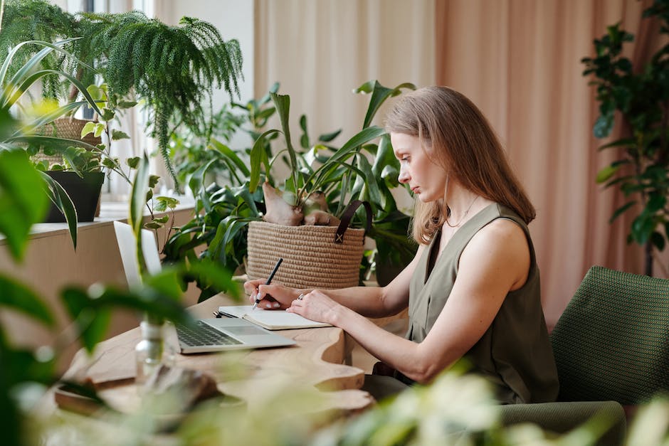 Image of various plants placed in a home office, creating a peaceful and green workspace.