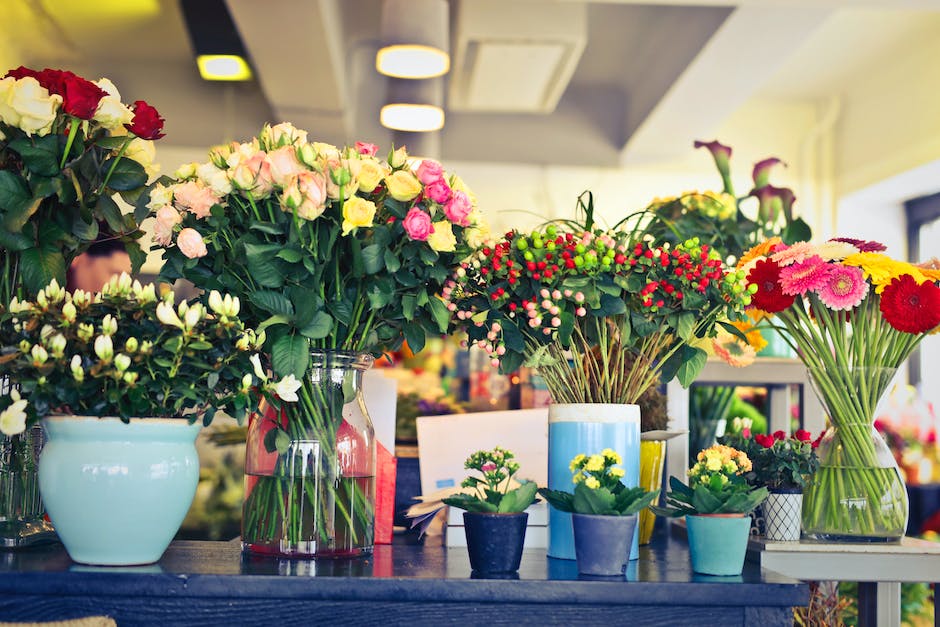 Image of different indoor flowering plants in various pots and arrangements.