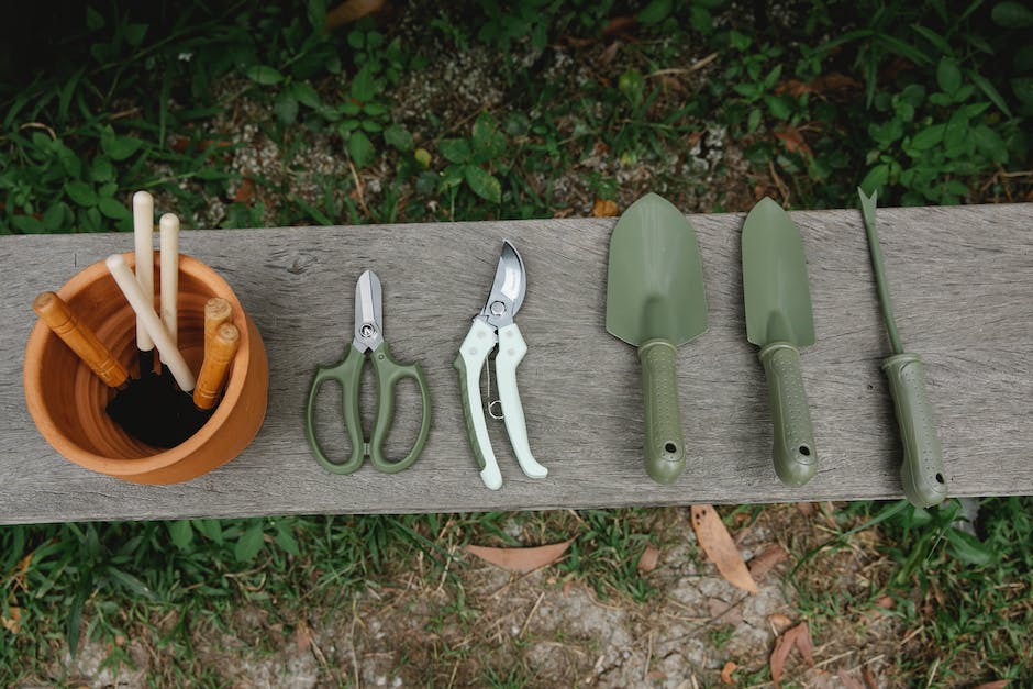 Image of various plant cuttings in glass jars