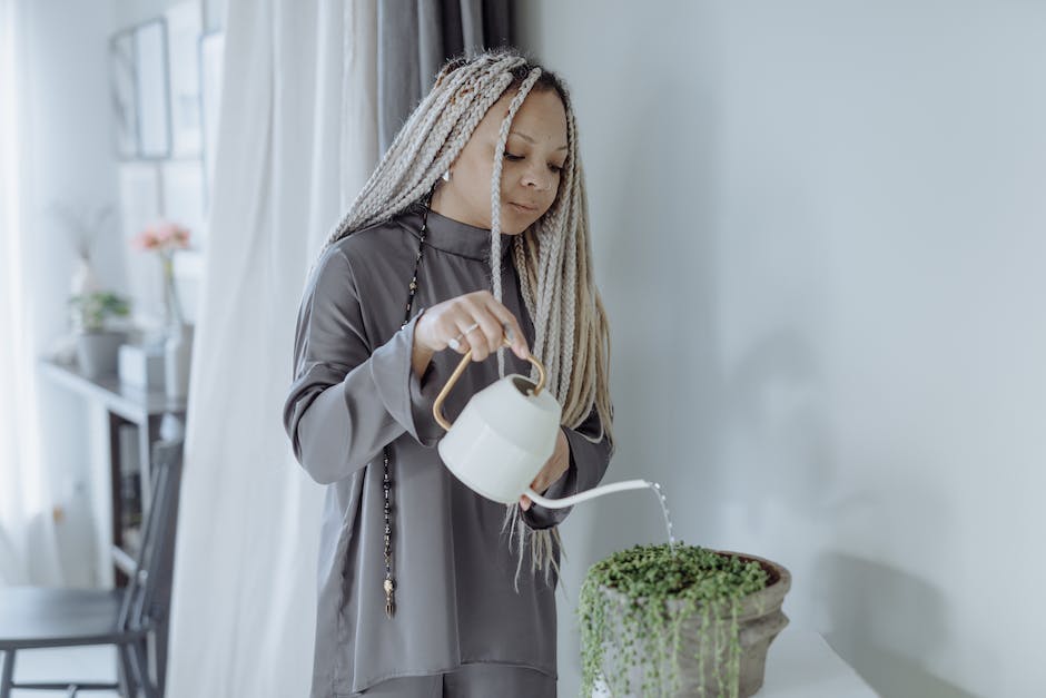 A plant being watered by a person